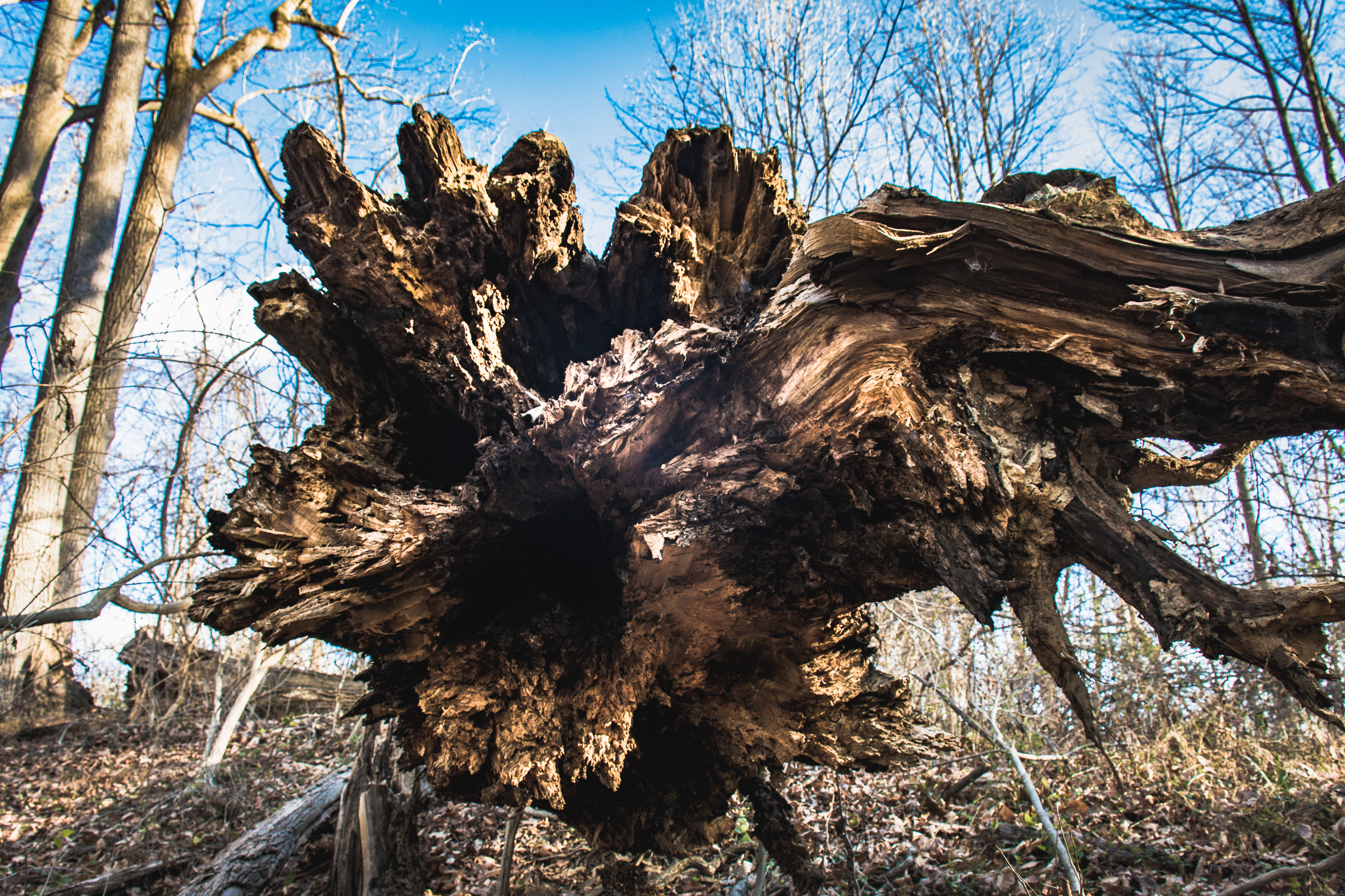 Hike the Hidden Pond Trail