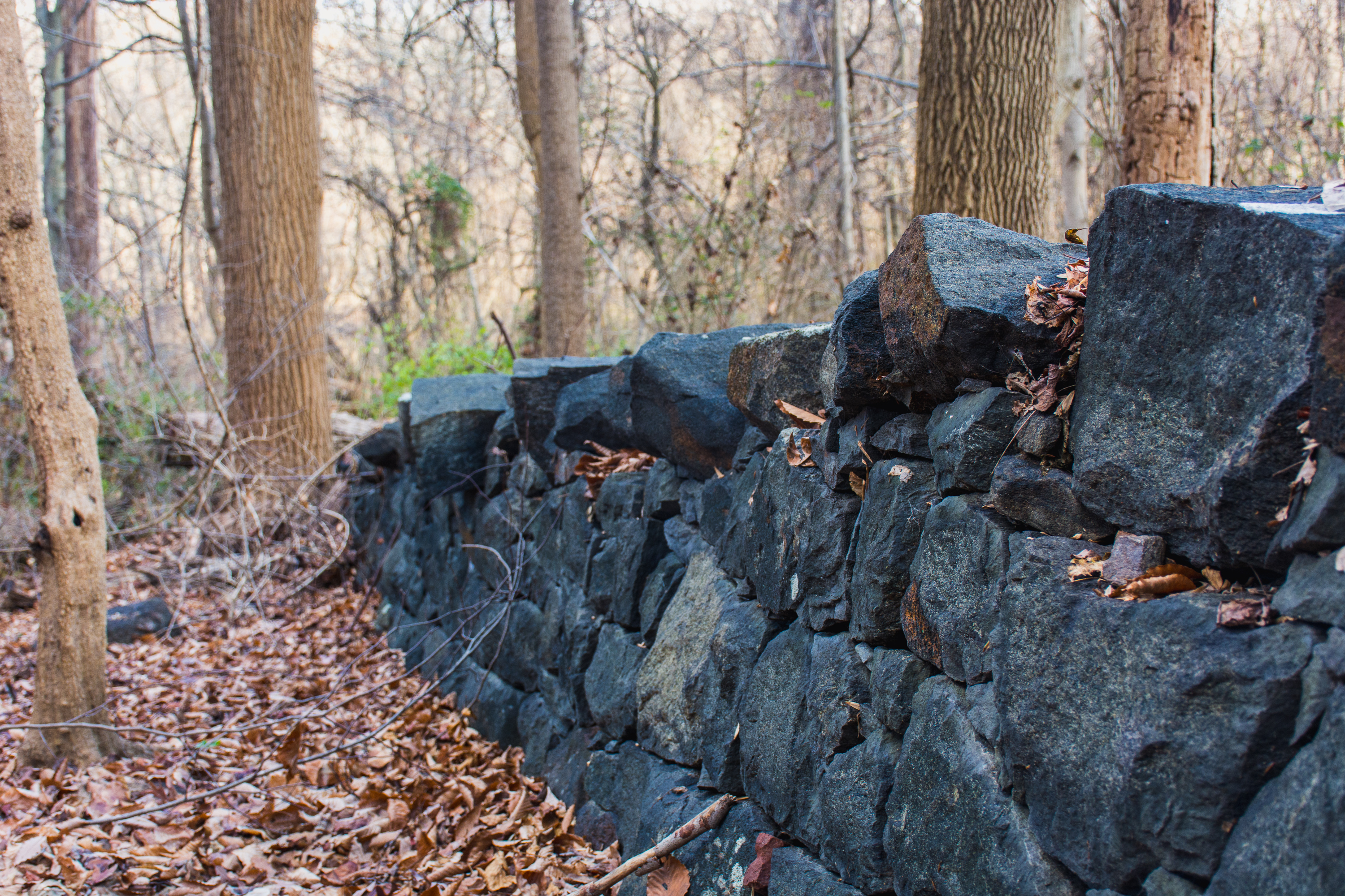 Hike the Hidden Pond Trail