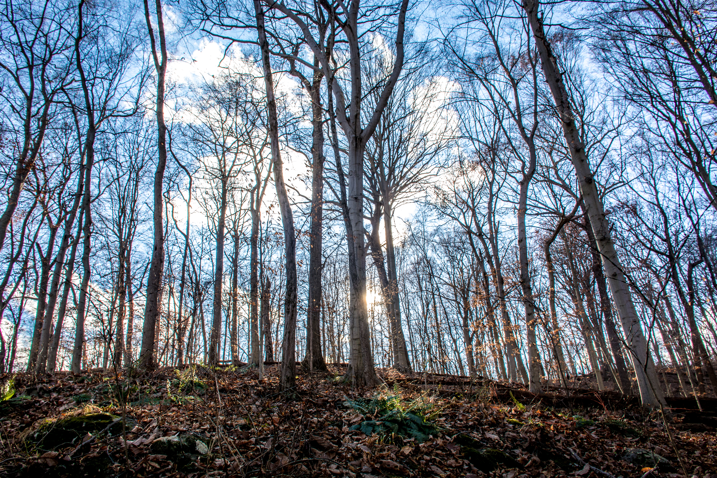 Hike the Hidden Pond Trail