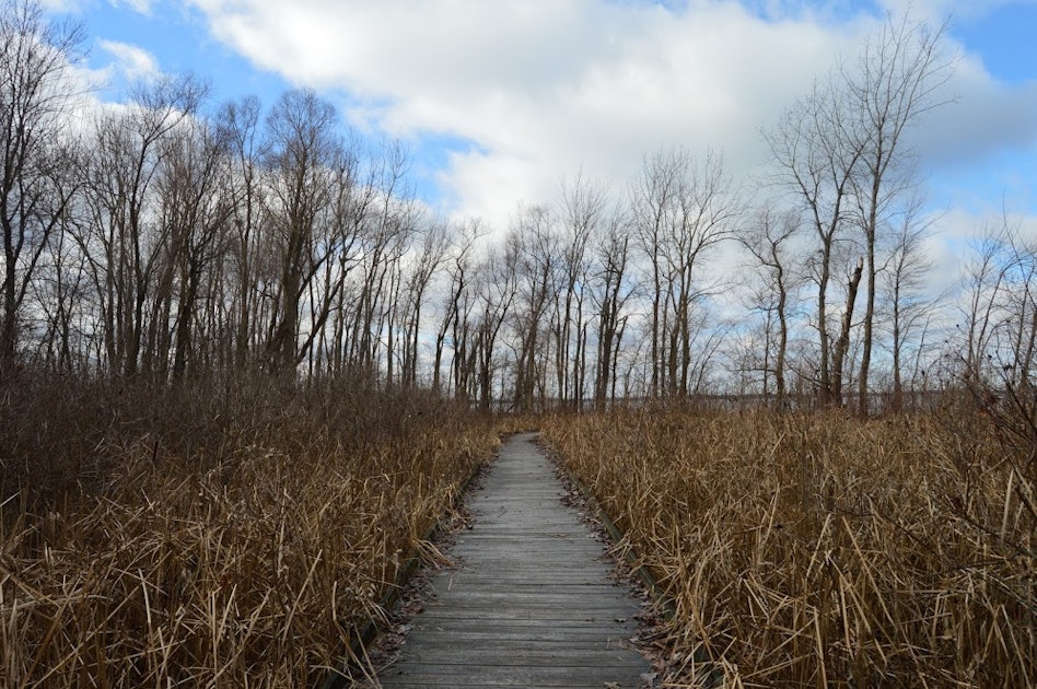 studio auto android format Hike Island Lake, Indian Pew Trail, Pew the Trailhead Island