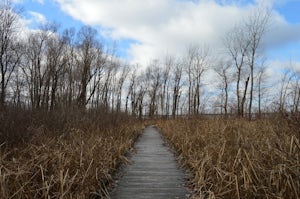 Hike the Pew Island Trail, Indian Lake