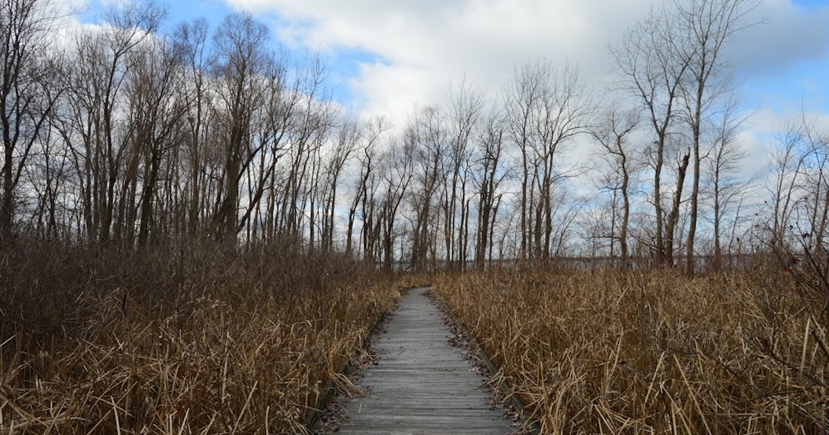 auto format android studio Island Island Lake, Pew Trailhead the Pew Indian Hike Trail, auto format android studio Island Island Lake, Pew Trailhead the Pew Indian Hike Trail,
