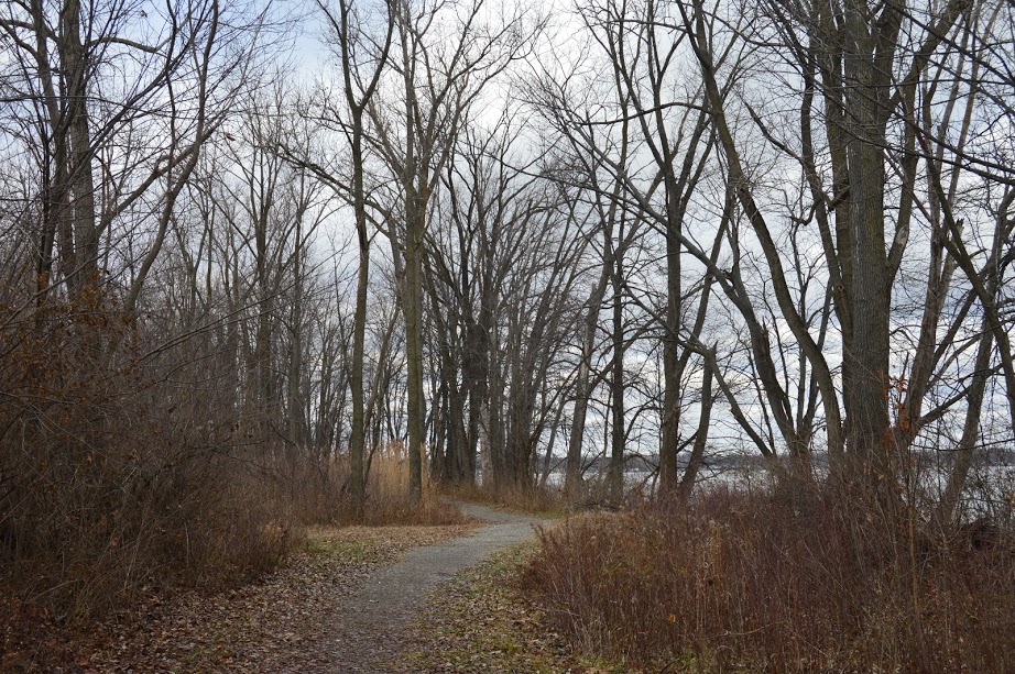 Hike the Pew Island Trail, Indian Lake