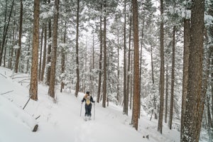 How to Get Started Snowshoeing
