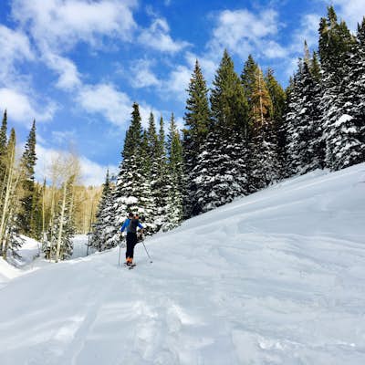 Backcountry Ski Beartrap Fork