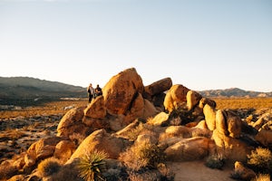 Desert Days: Exploring Southern California's National and State Parks