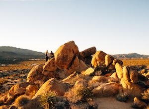 Desert Days: Exploring Southern California's National and State Parks