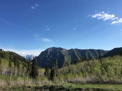 Hike to the Summit of Buckley Mountain 