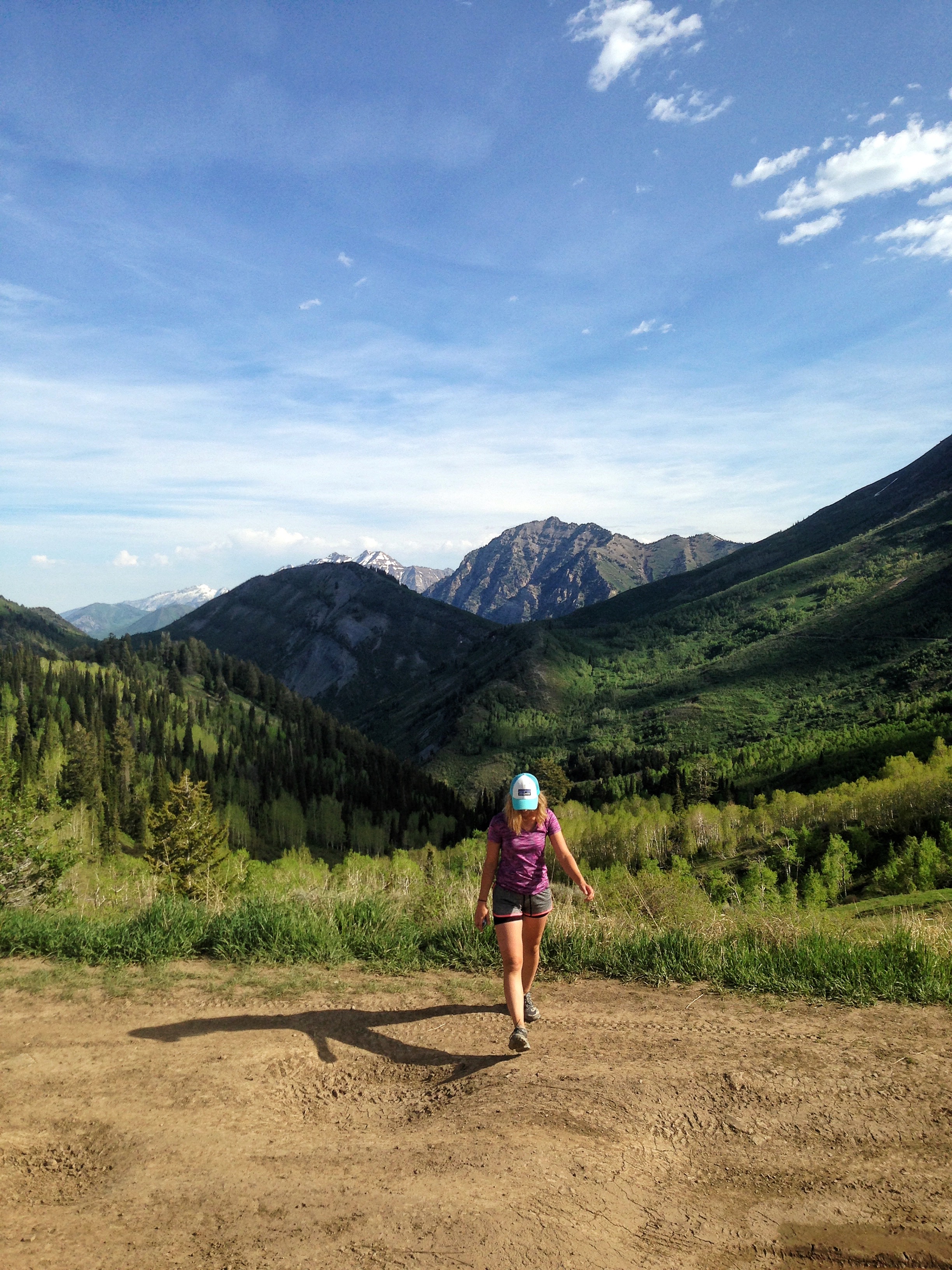 Hike to the Summit of Buckley Mountain 