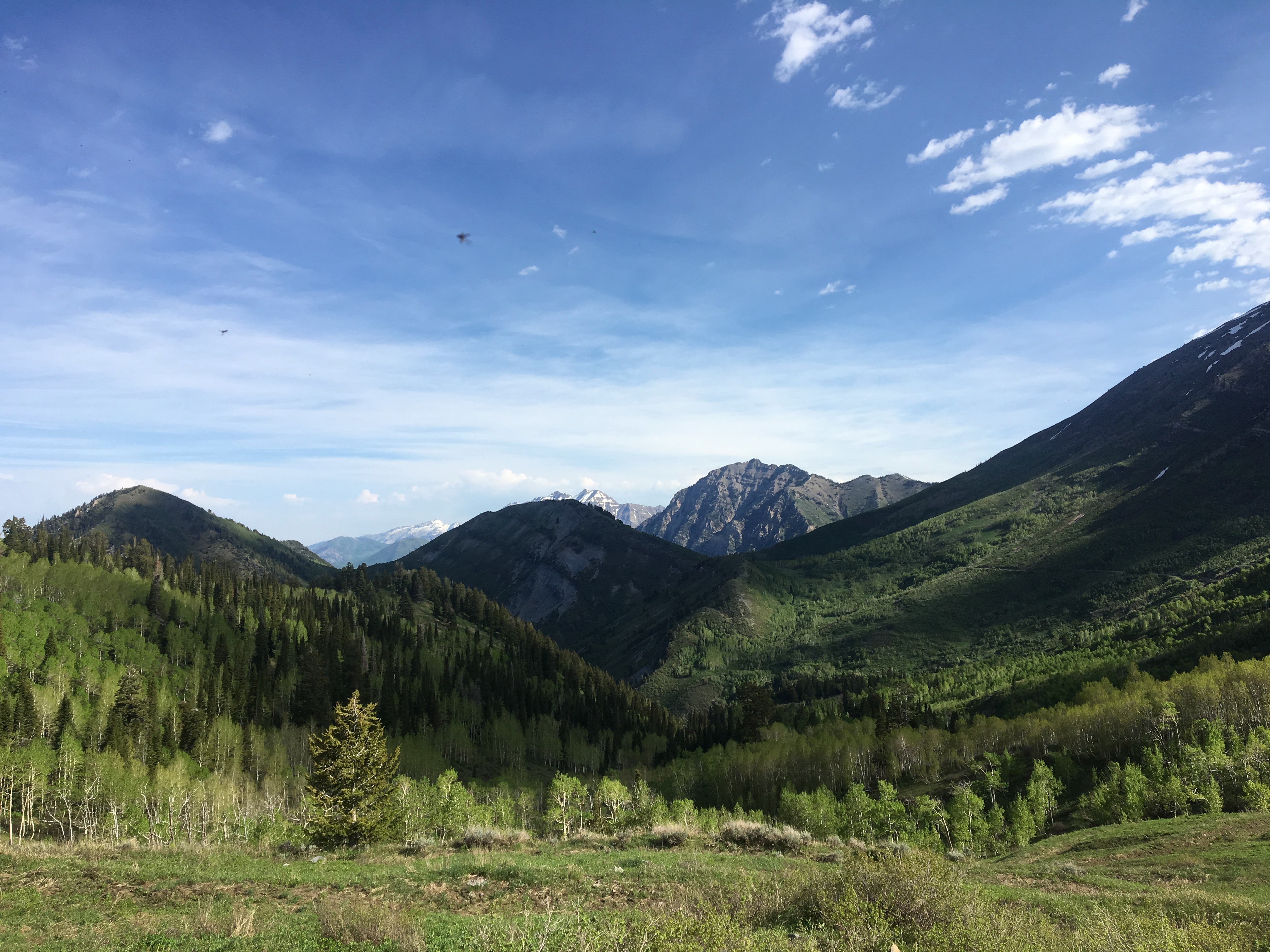 Hike to the Summit of Buckley Mountain 