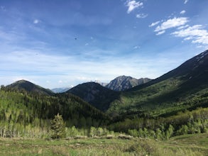 Hike to the Summit of Buckley Mountain 