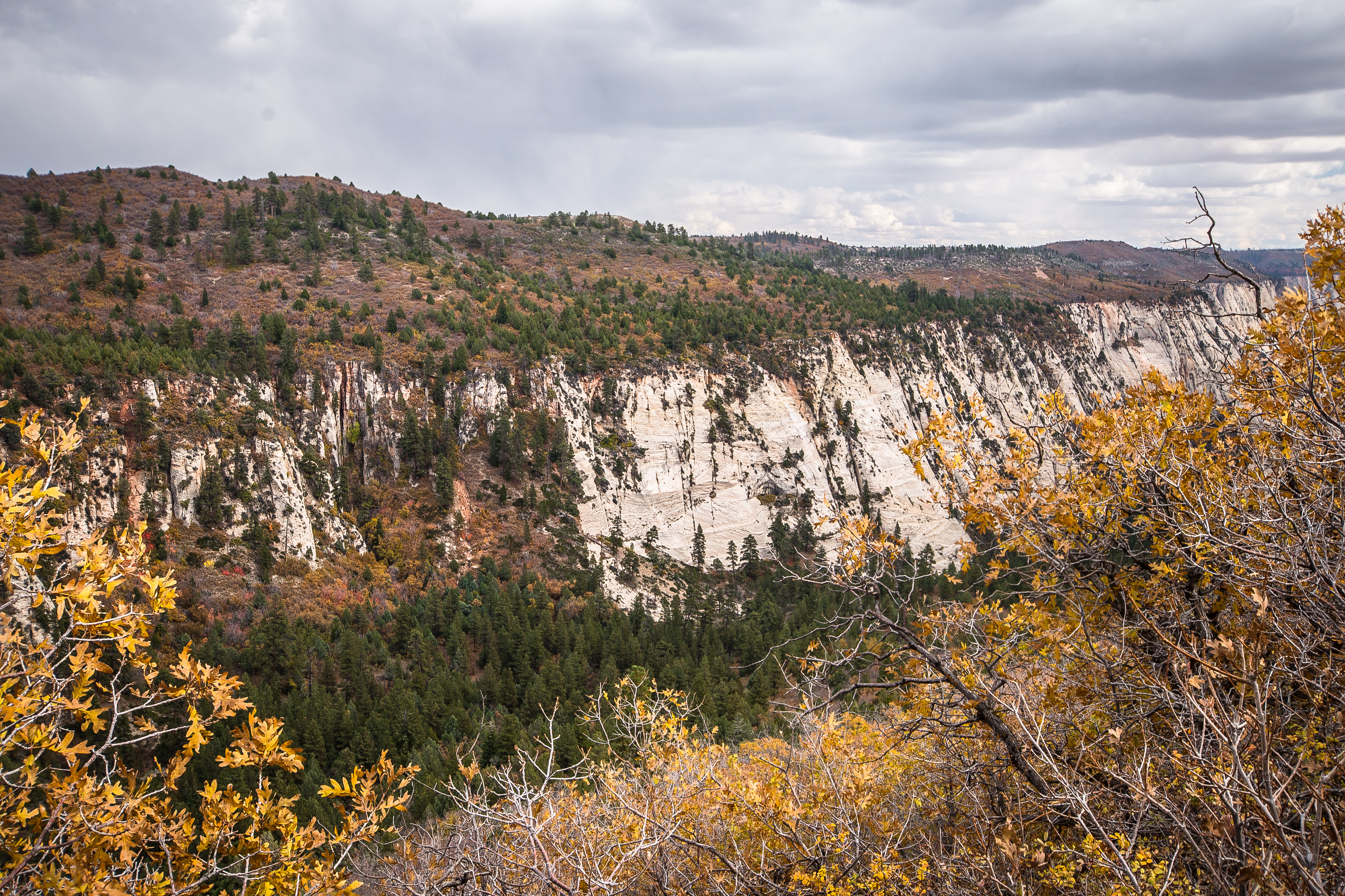 Wildcat Canyon Trail