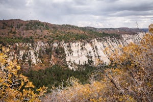 Hike Wildcat Canyon Trail, Zion NP