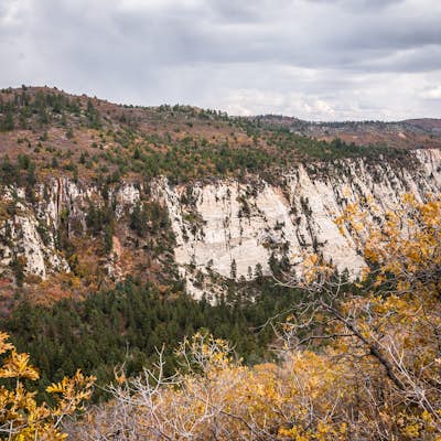 Hike Wildcat Canyon Trail, Zion NP