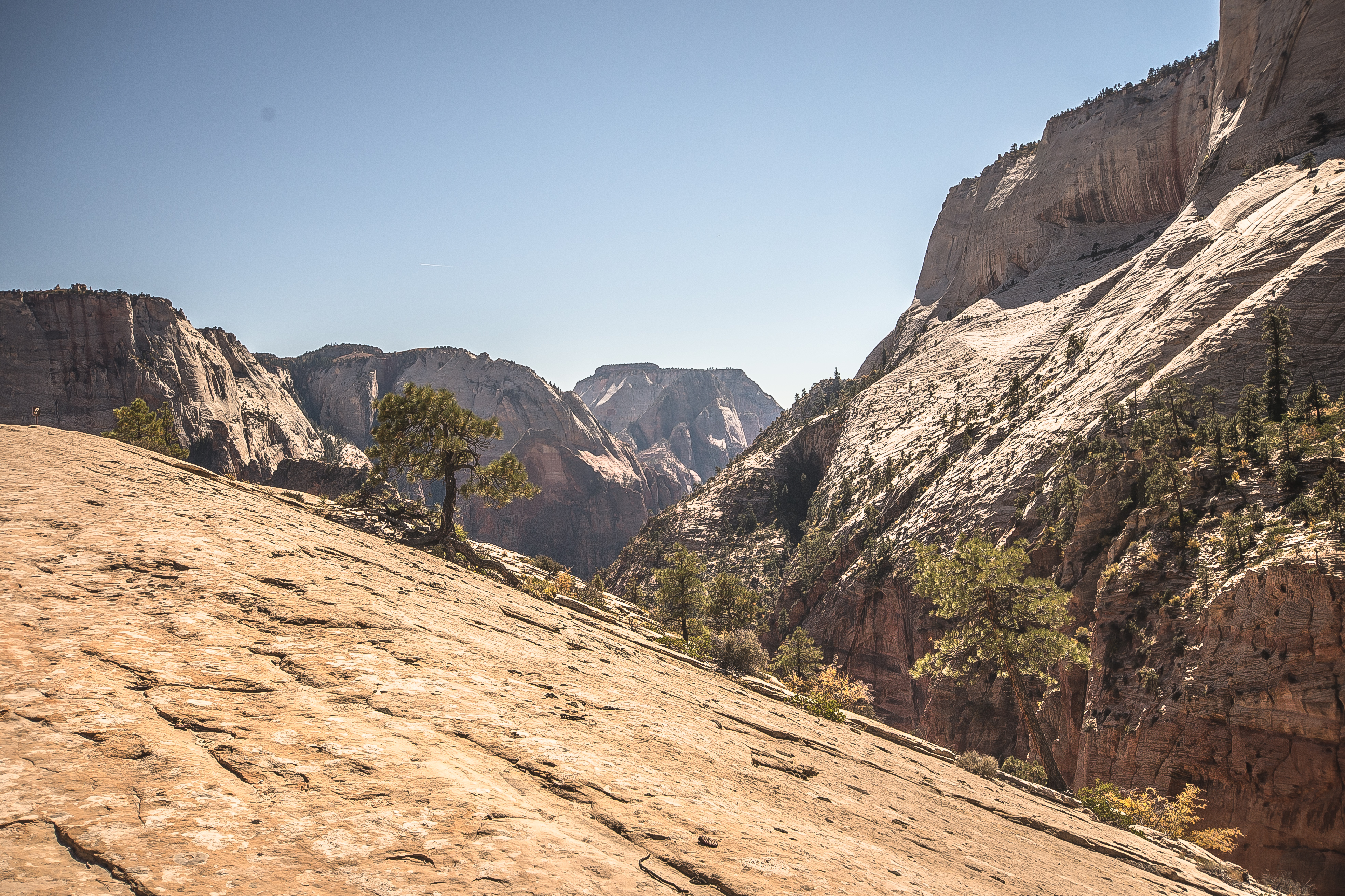 Trans-Zion Trek, Zion NP