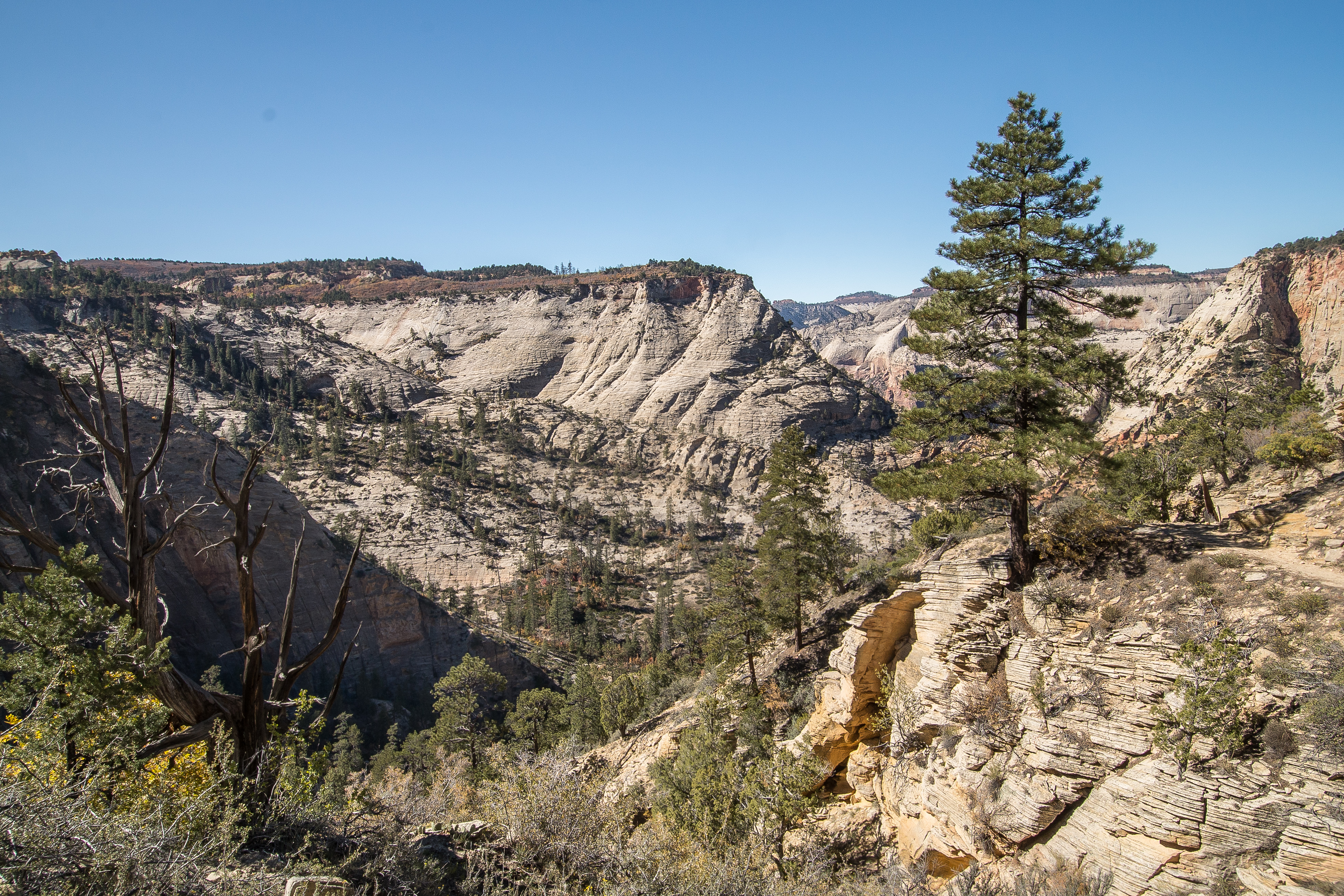 Trans-Zion Trek, Zion NP