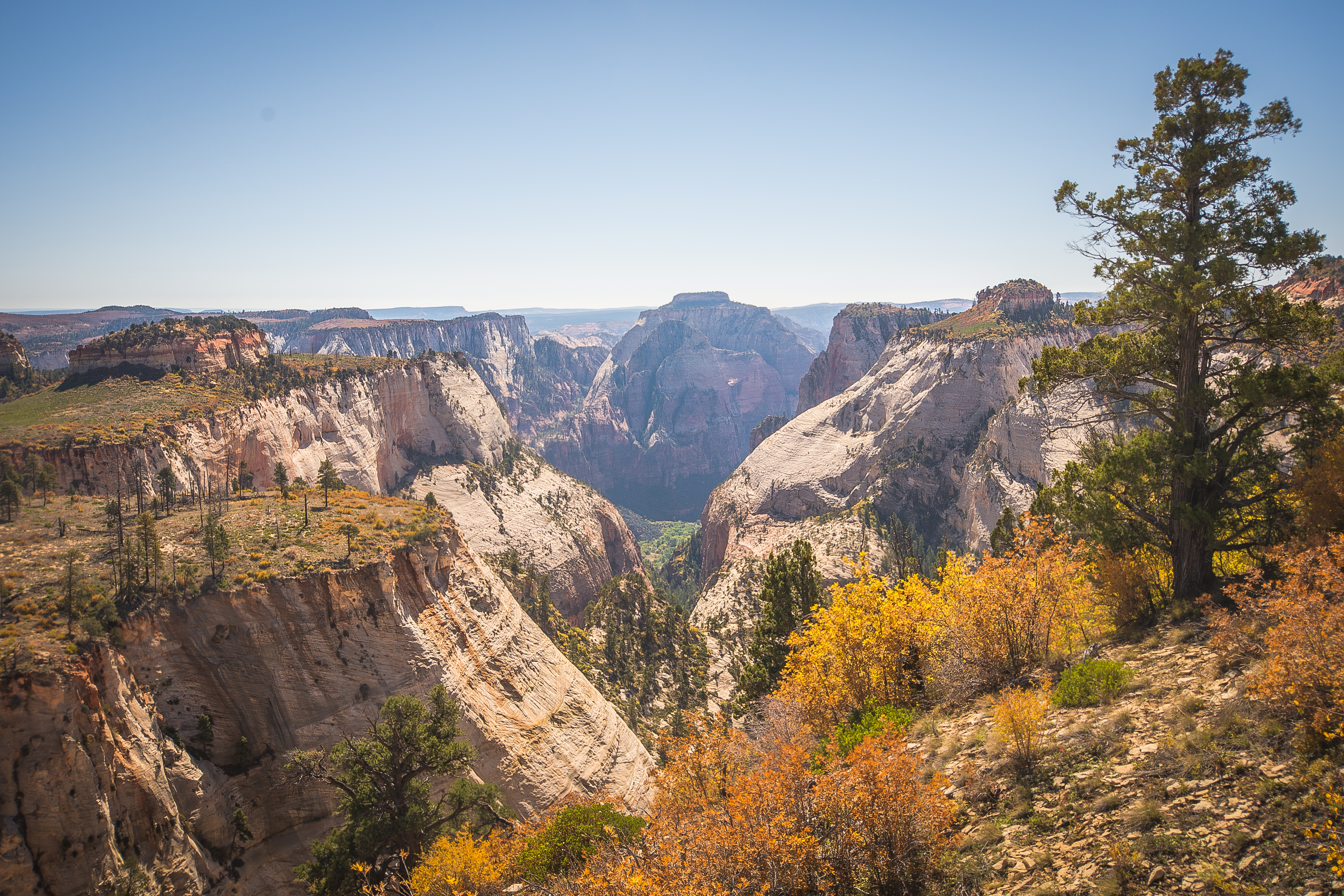 Trans-Zion Trek, Zion NP