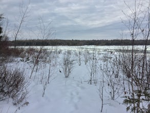 Snowshoe the Nicolet Beach Trail at Peninsula State Park