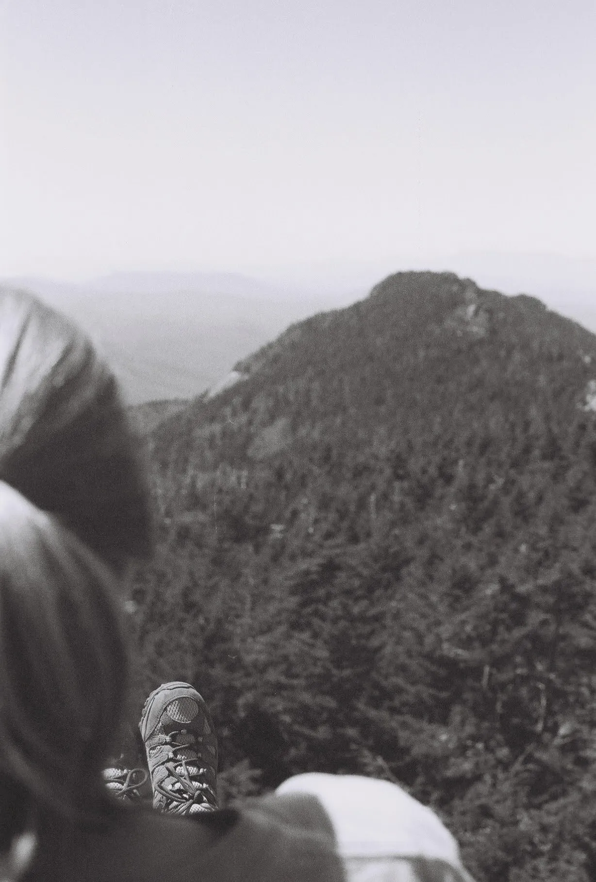 Profile Trail to Calloway Peak