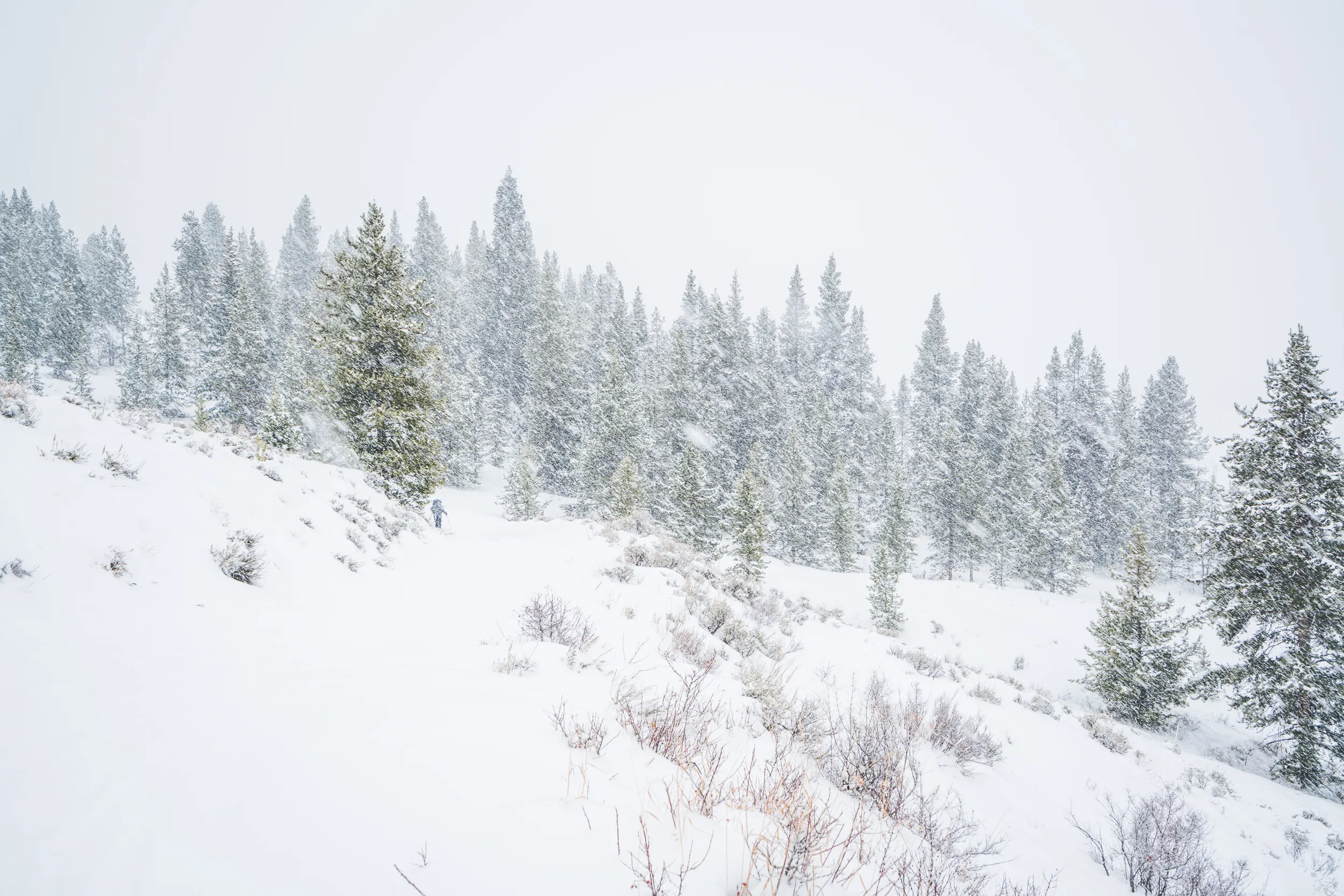 Ski to Fowler-Hilliard Hut