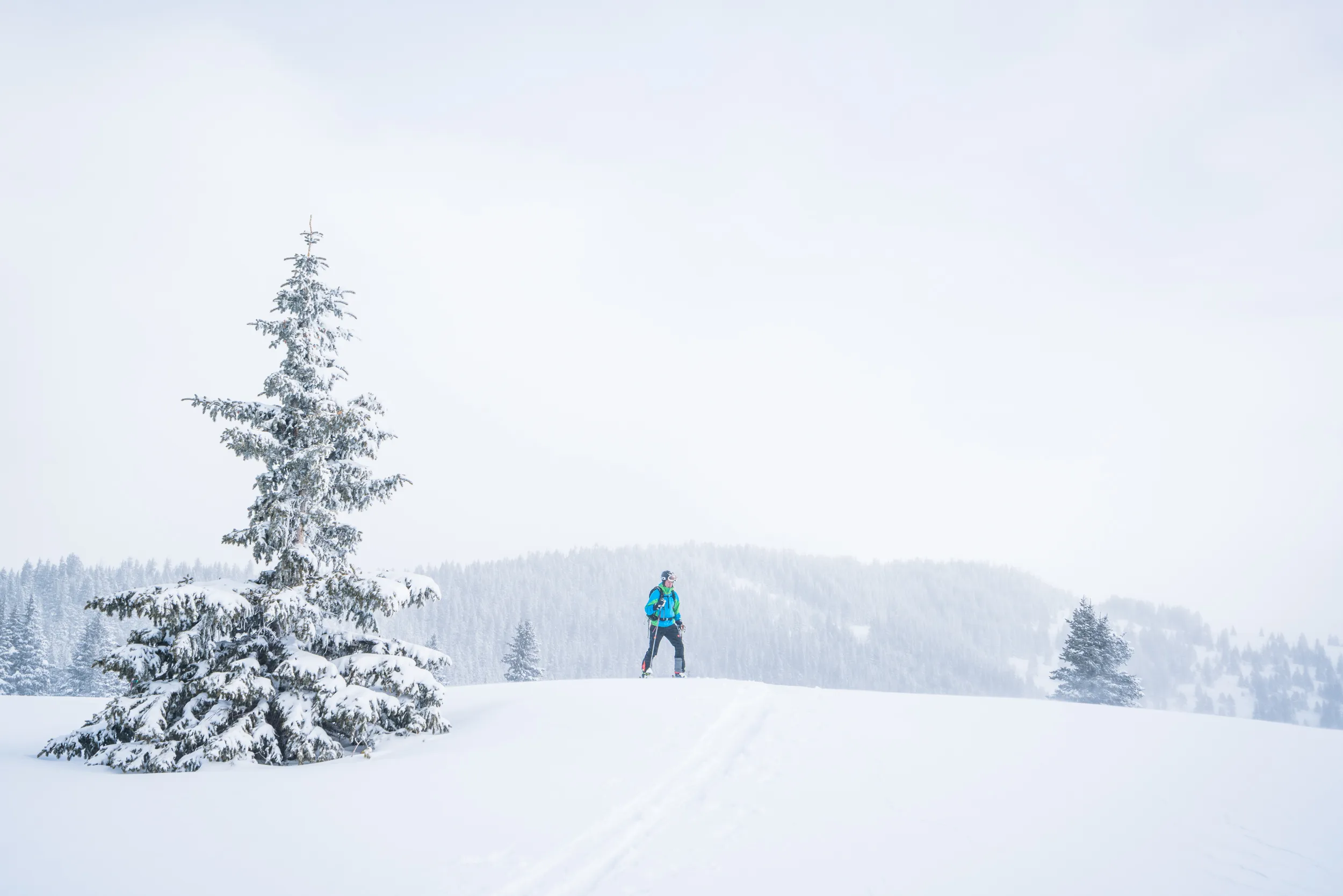 Ski to Fowler-Hilliard Hut