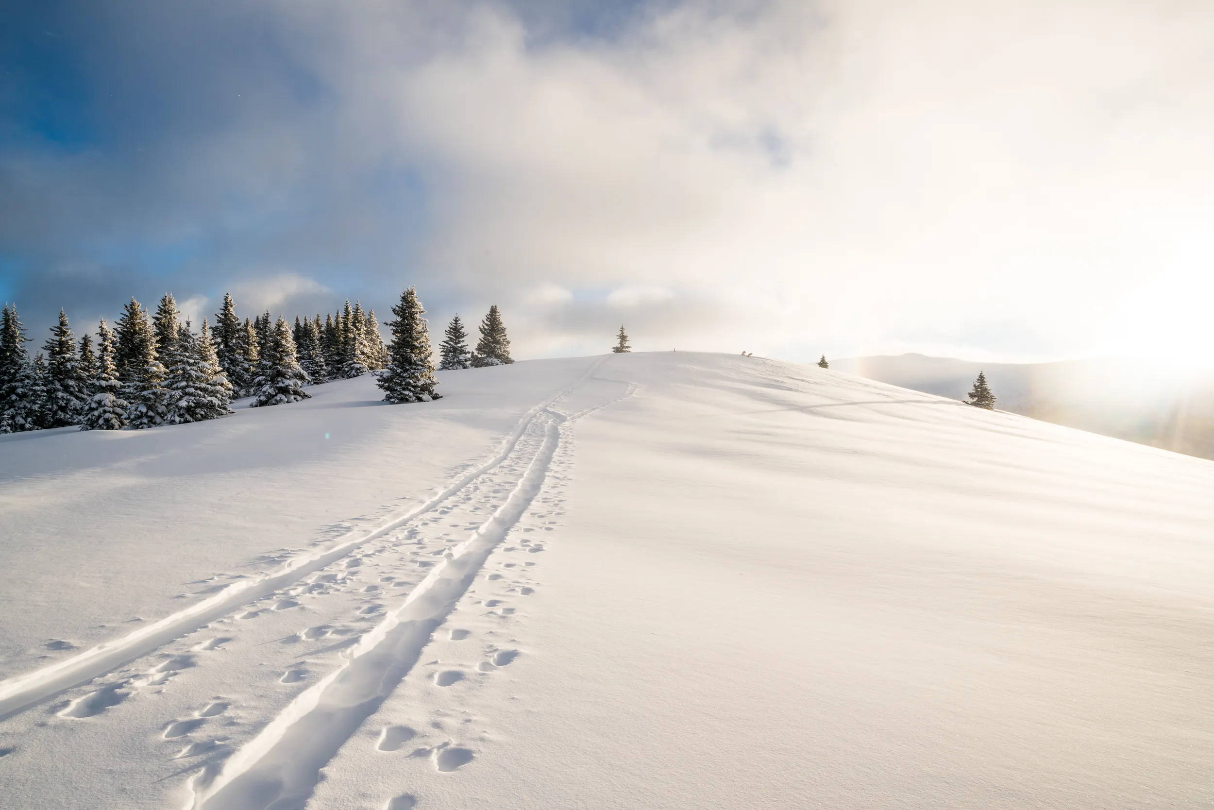 Ski to Fowler-Hilliard Hut