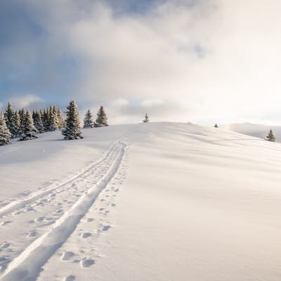 Ski to Fowler-Hilliard Hut