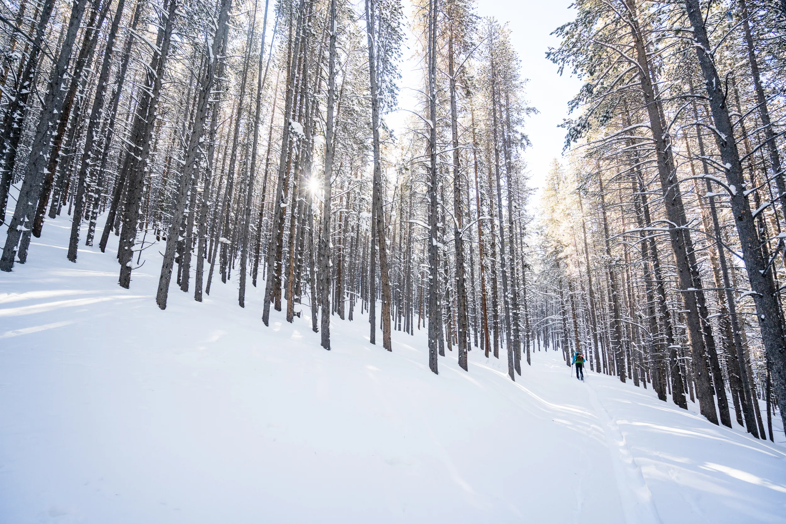 Ski to Fowler-Hilliard Hut