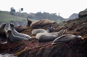 Visit Two Harbors, Catalina Island