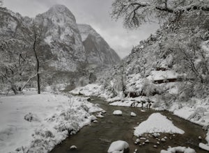 The Many Benefits of Exploring Zion National Park in the Winter