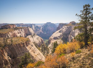 Hike the Full West Rim Trail, Zion NP