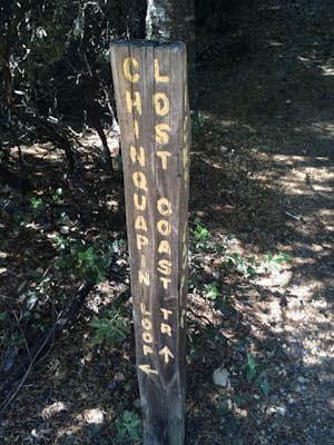 Chinquapin Loop on The Lost Coast