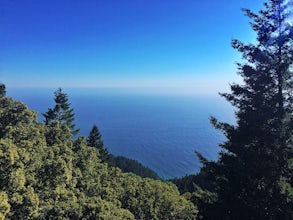 Chinquapin Loop on The Lost Coast