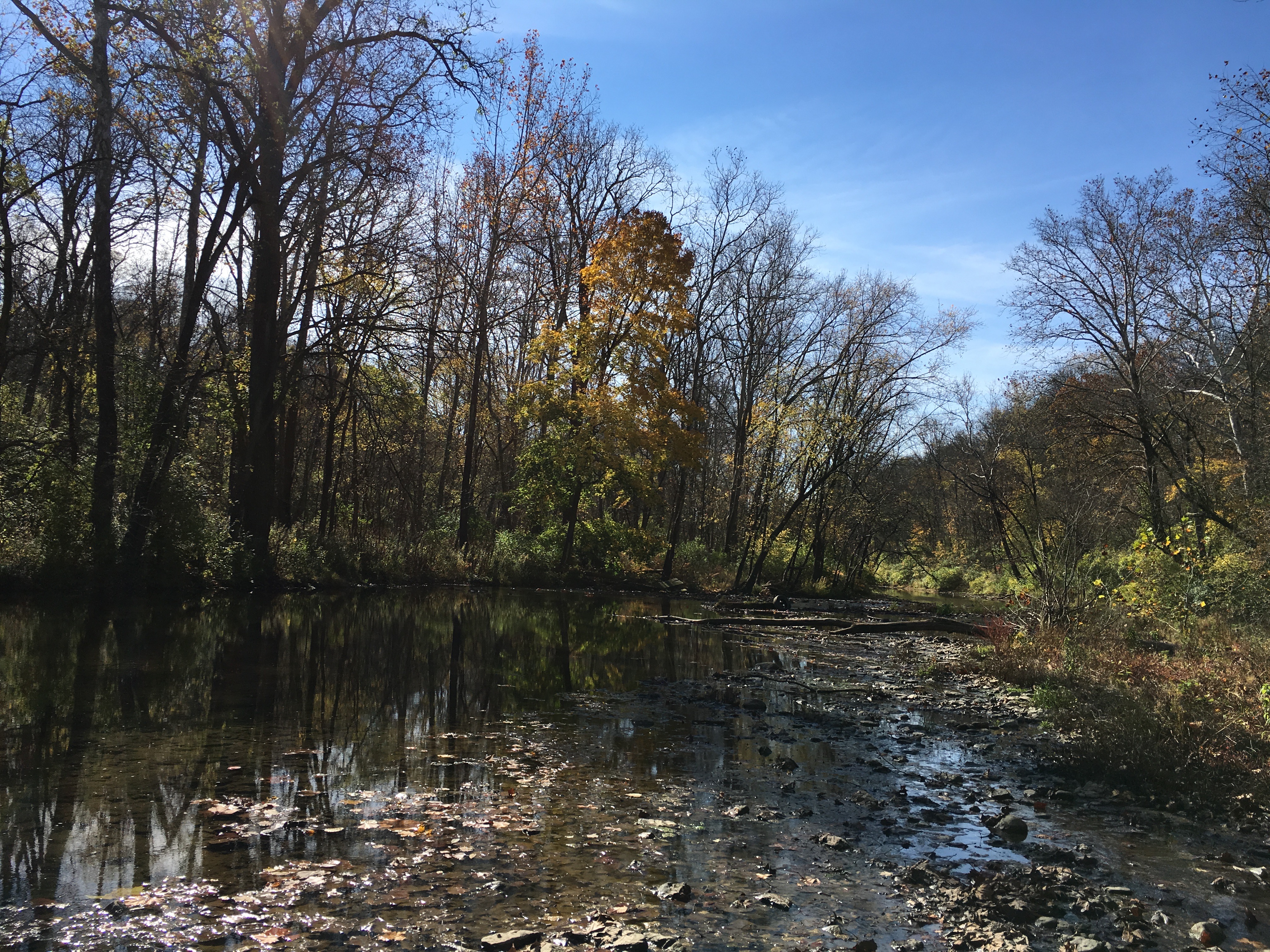 Bike or Run on the Cardinal Greenway