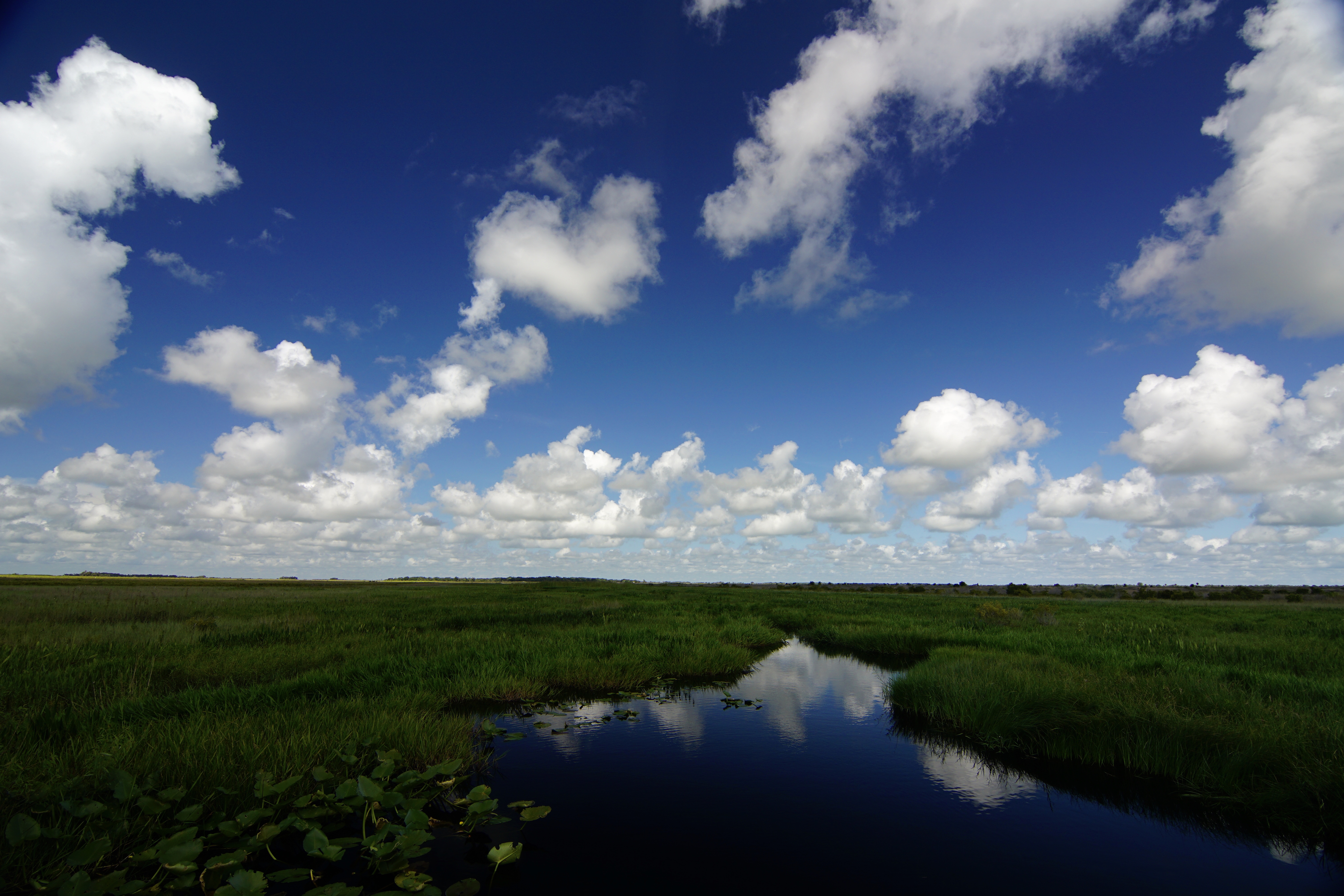 Camp at Kissimmee Prairie Preserve State Park