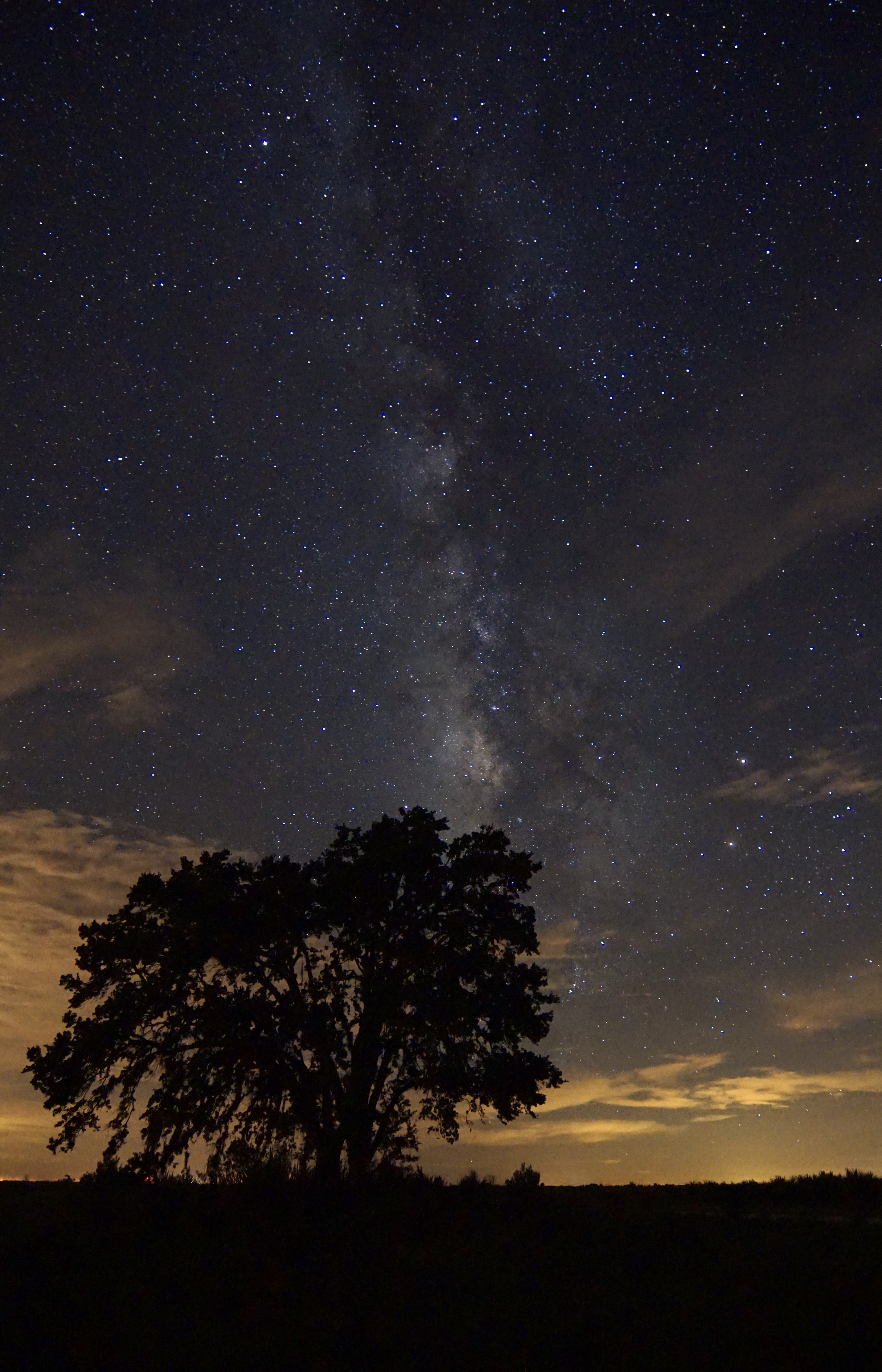 Camp at Kissimmee Prairie Preserve State Park
