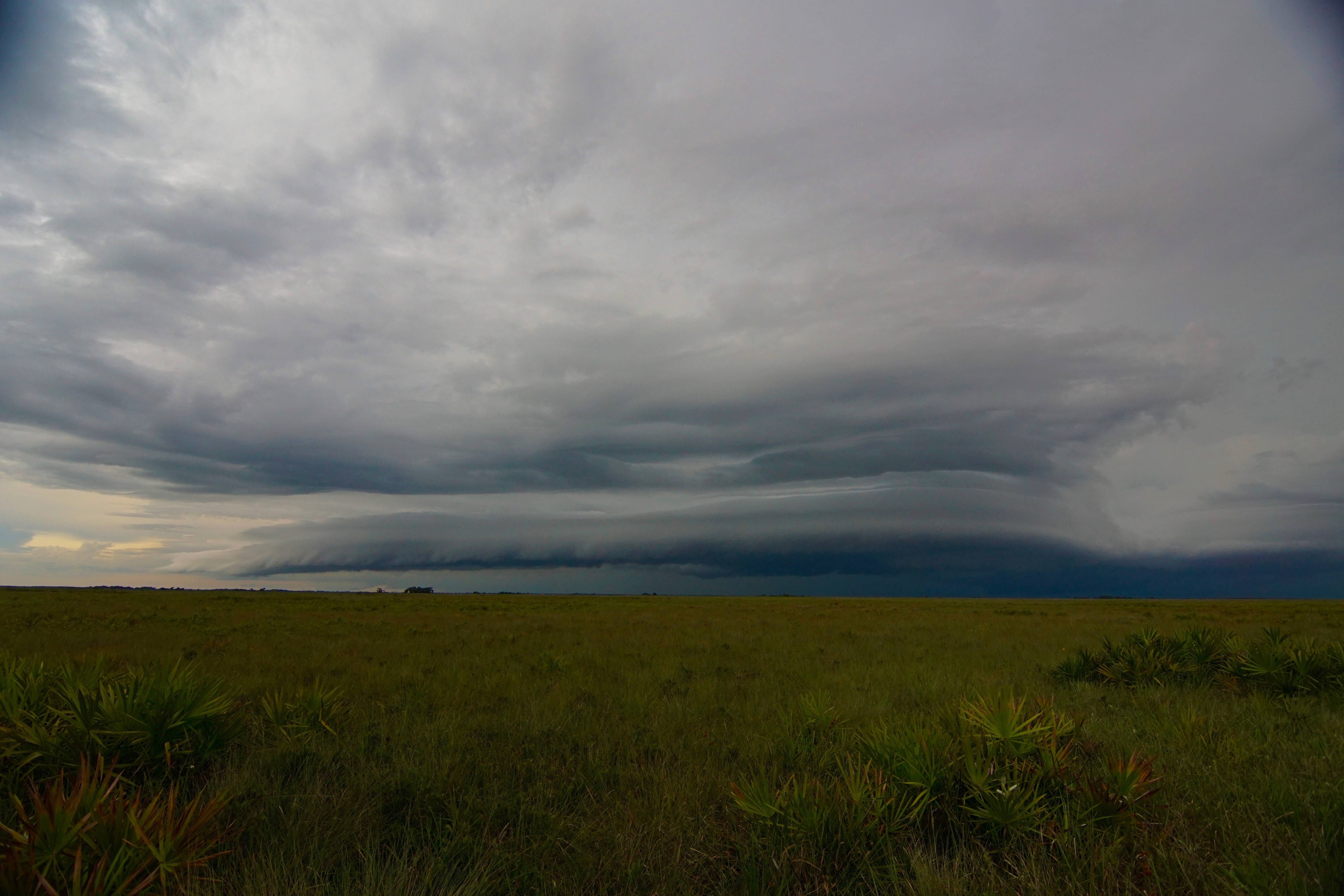 Camp at Kissimmee Prairie Preserve State Park