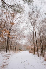 Scenic Drive through Sequoyah State Park