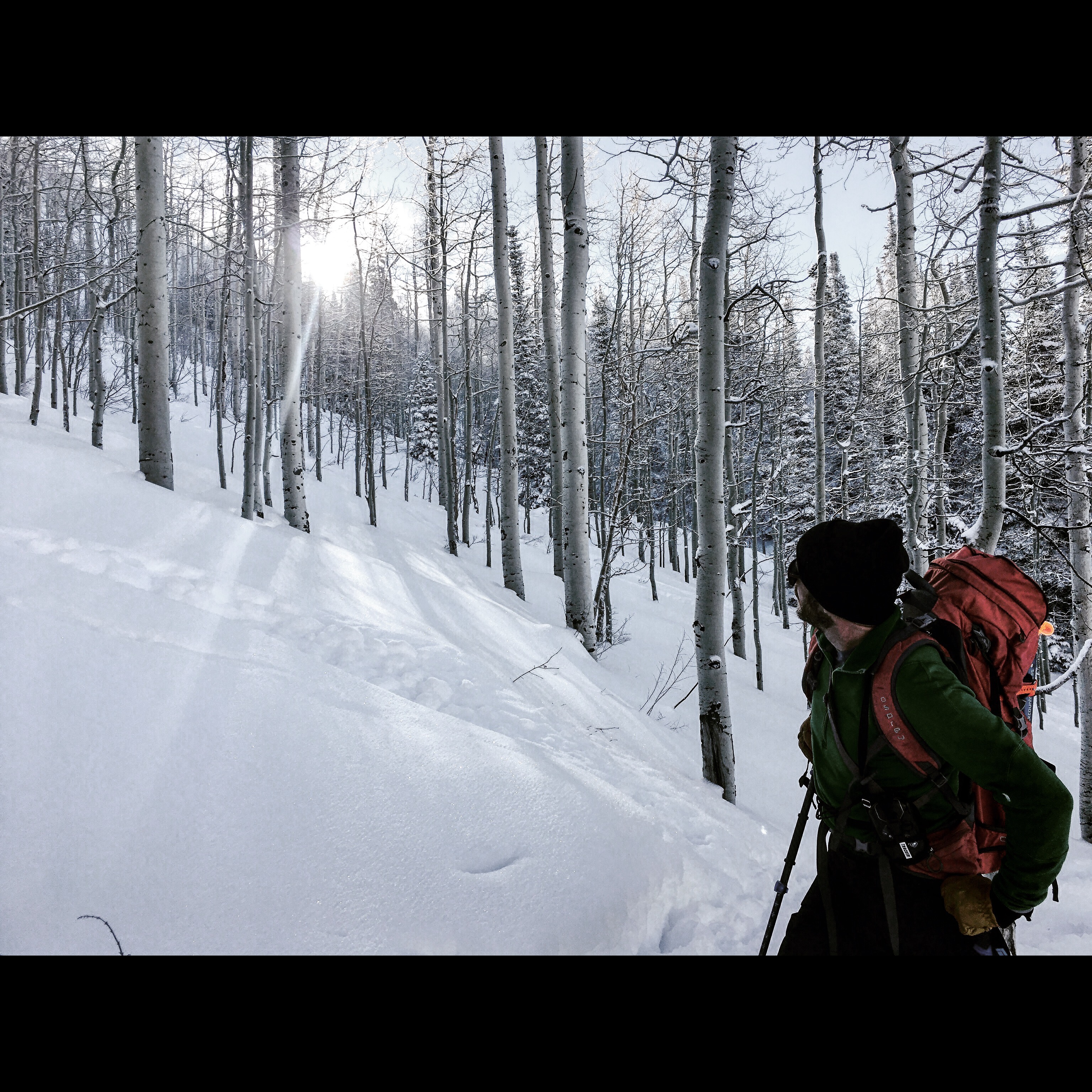 The Beginner's Guide To Backcountry Skiing