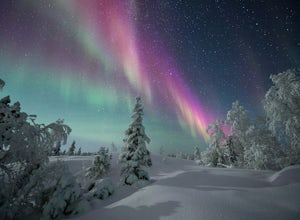 Chase the Northern Lights in the Aurora Capital of the World