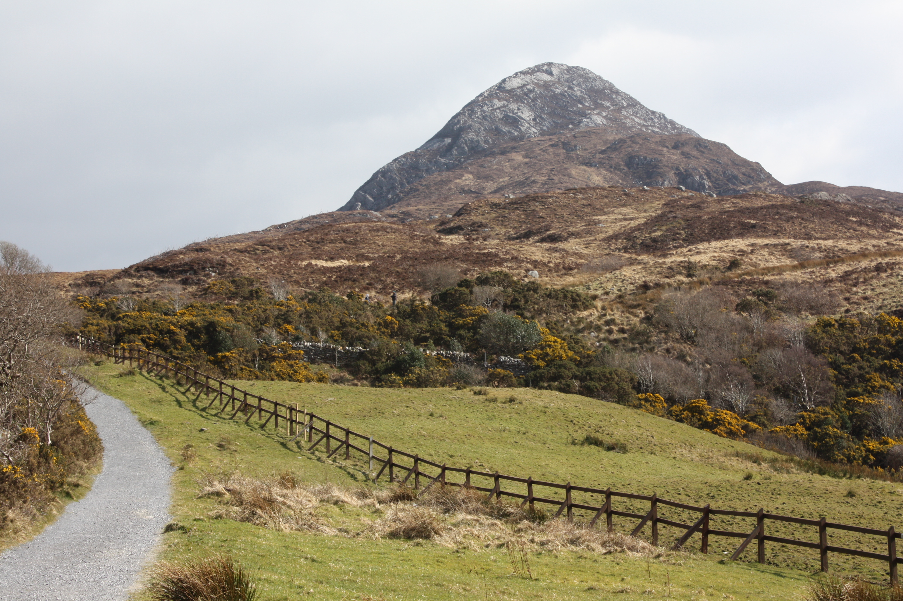 Explore Connemara National Park
