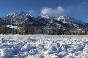 Snowshoe to Taggart Lake