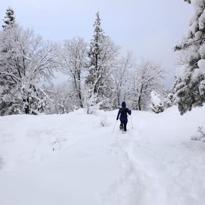 Snowshoe to Grand View Point