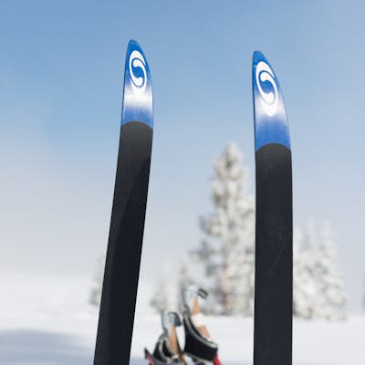 Cross-Country Ski to Drifter Hut