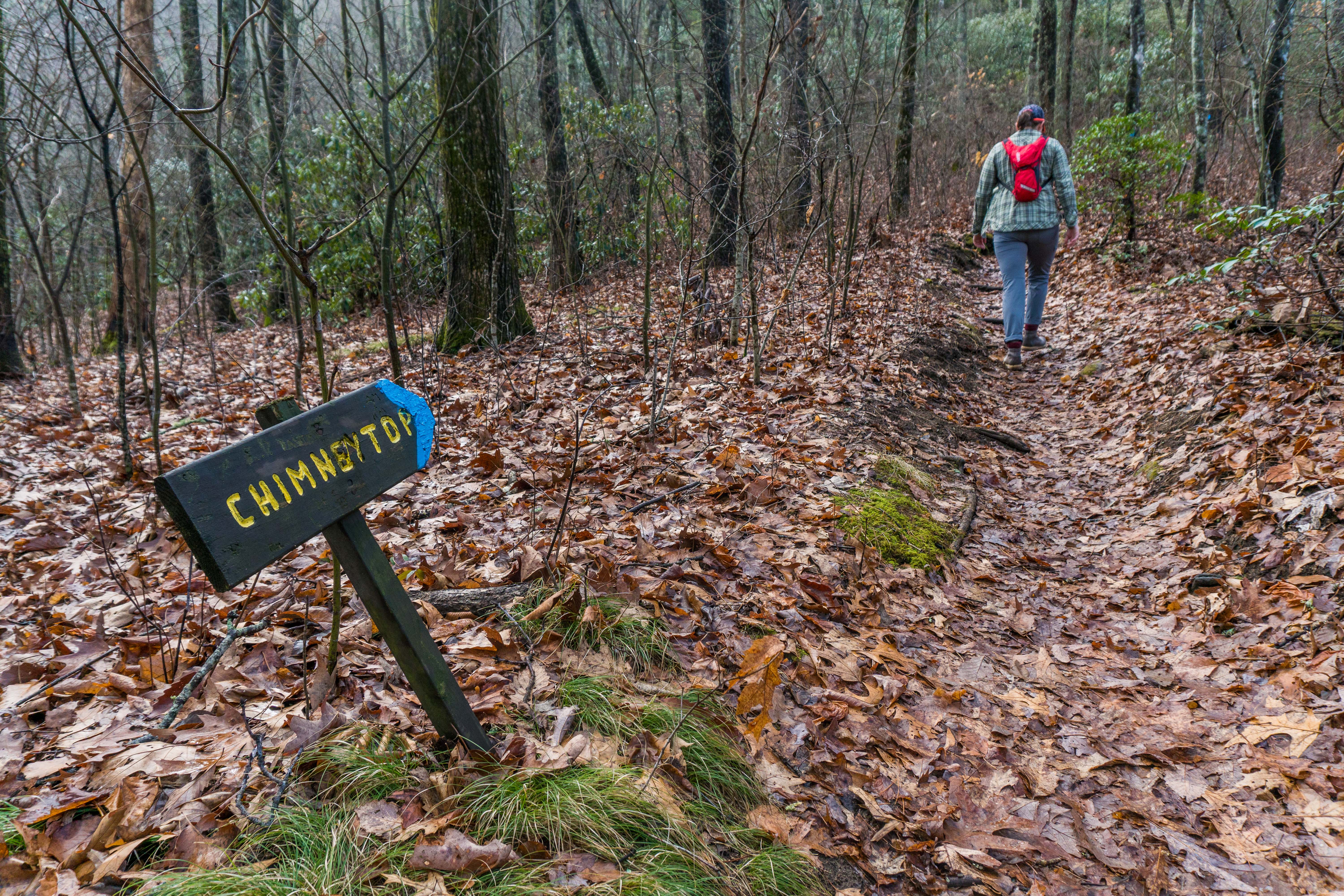 Hike to Chimney Top