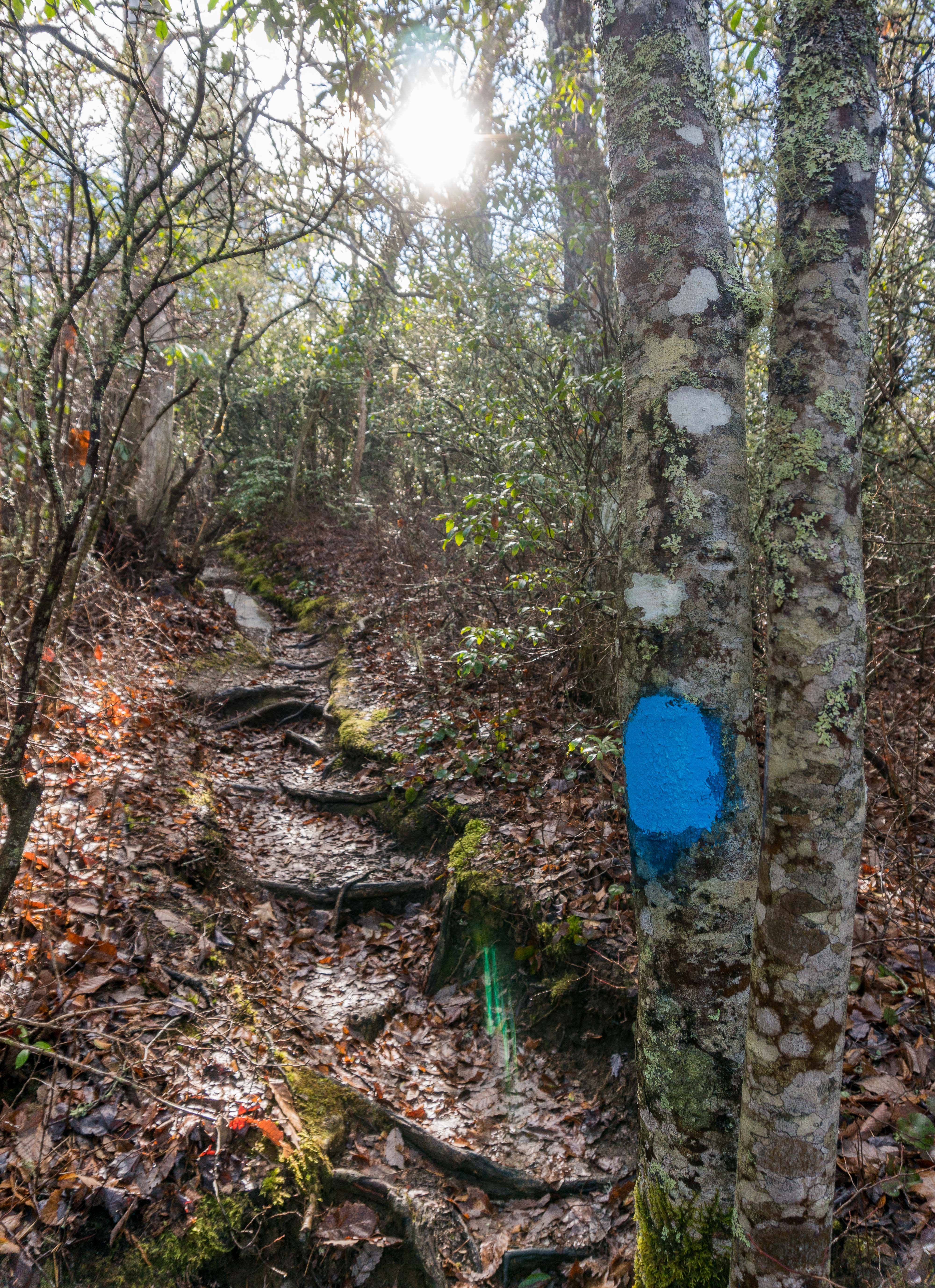Hike to Chimney Top