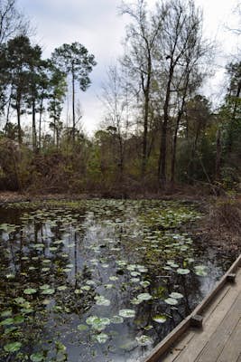 Houston Arboretum and Nature Center Outer Loop