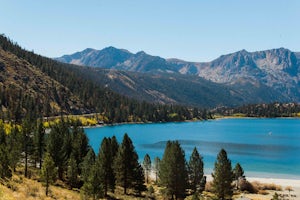 Camp at Oh Ridge Campground on June Lake