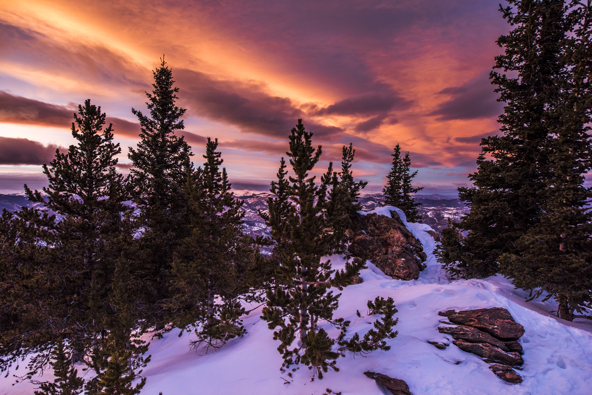 Chief Mountain Trail