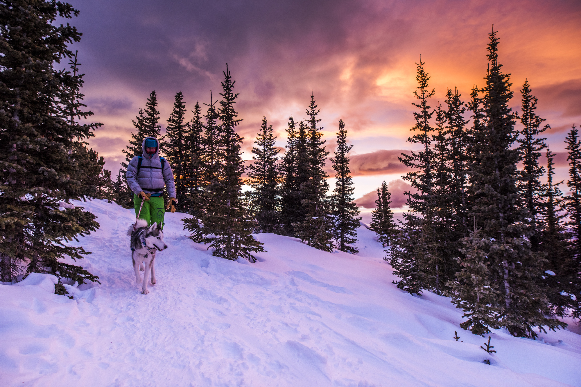 Chief Mountain Trail